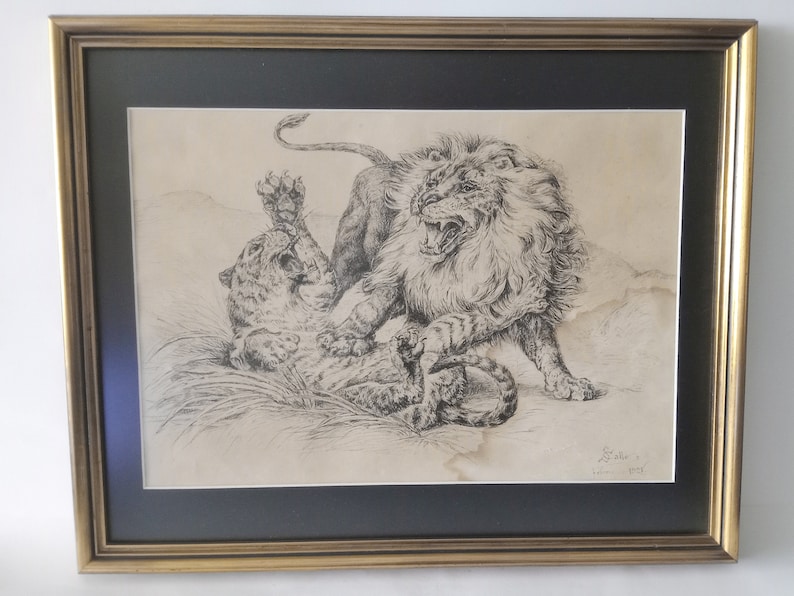 May include: A black and white drawing of a lion attacking a leopard. The lion is on top of the leopard, biting its neck. The drawing is framed in a gold frame.