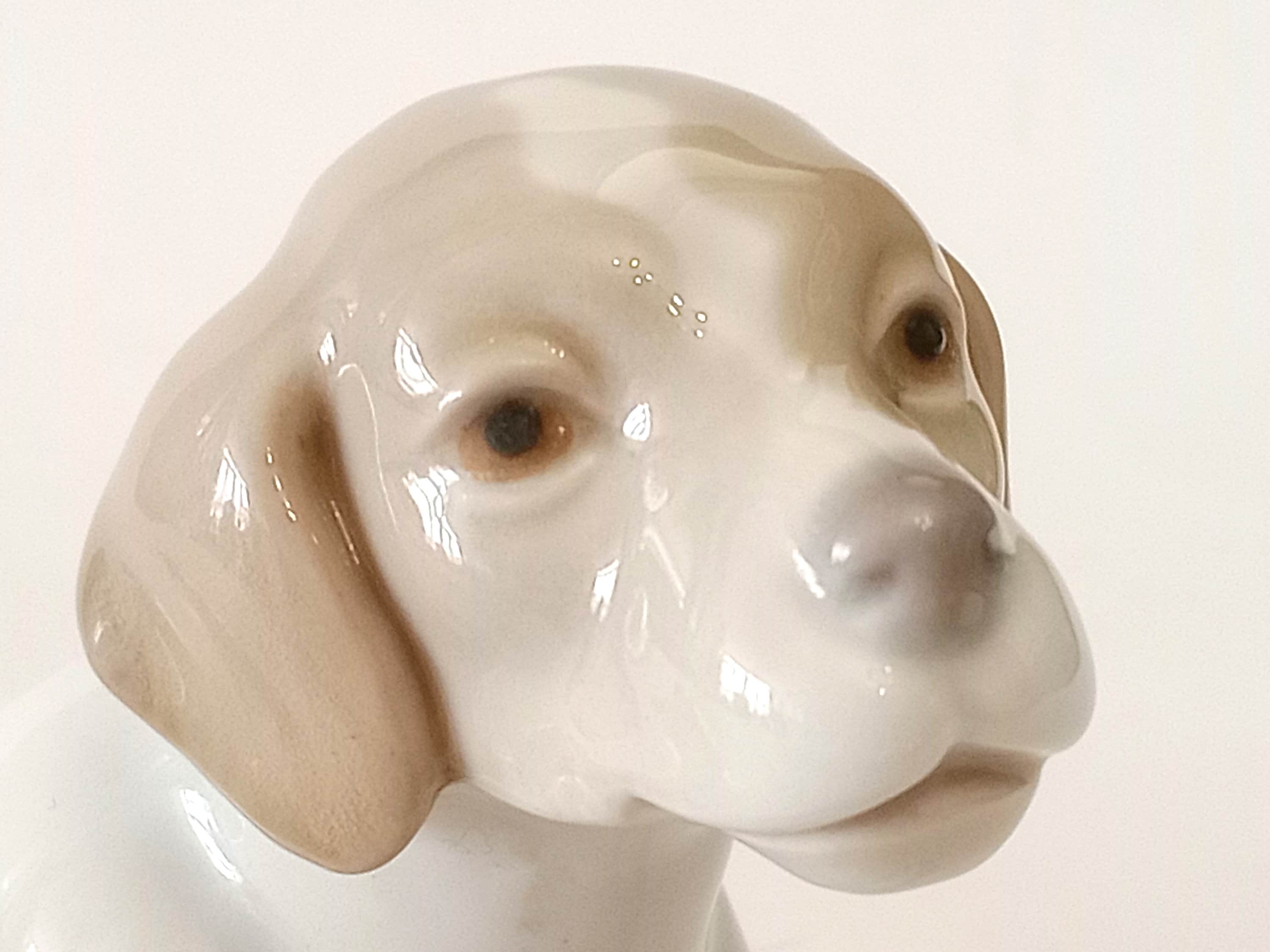 犬の陶器の置物 NAO Spain Handcrafted porcelain 犬の陶器の置物 NAO Spain Handcrafted porcelain - メルカリ