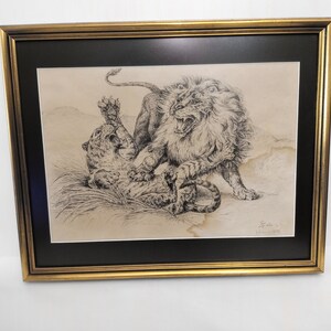 May include: A framed black and white drawing of a lion attacking a leopard. The drawing is signed "Schaller" and dated "1931".