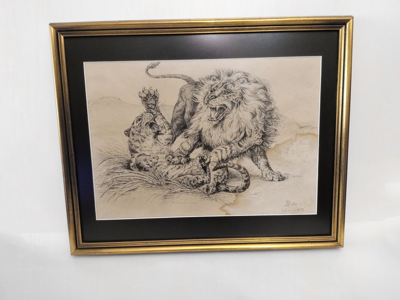 May include: A framed black and white drawing of a lion attacking a leopard. The drawing is signed "Schaller" and dated "1931".