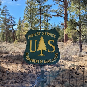 Signo tallado en madera del Servicio Forestal de EE. UU.