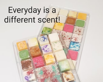 Soy Wax Melt Advent Calendar - Count down to Christmas with 25 days- A fun holiday advent calender for adults - Ready to Ship from Australia