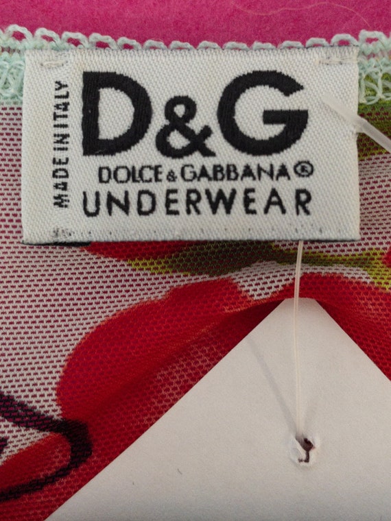 Y2K Dolce and Gabbana Mesh Top, Rose Print, Floral Motif, Short