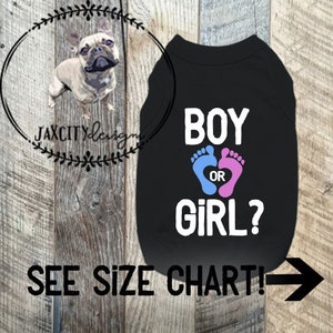 GENDER REVEAL DOG T, Dog Shirt, Cat Shirt,Personalized T-Shirt, Dog Dress, Pet Shirt, Dog Gift, Cat Gift,Dog Accessories, Dog, Cat, Pet