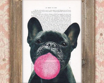 Frenchie Print, Bubblegum, French design, black and white,dog poster, Art Print on recycled french book page