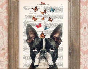 Stampa Boston Terrier, Bulldog con farfalle, design francese, bianco e nero, poster di bulldog Stampa artistica sulla pagina di un libro francese riciclato