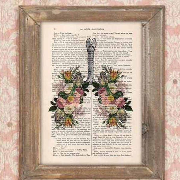 Retro Lung Flower Anatomy Print, Human, Anatomy art, love, science wall decor, art print, vintage drawing, Vintage Book Dictionary Fuschia
