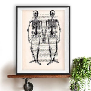 Vintage skeleton couple Anatomy Print, Human art print, science wall decor, drawing vintage book dictionary Gothic till death to us part