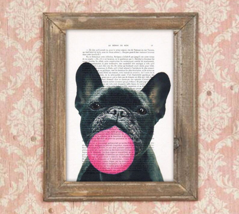 Frenchie Print, Bubblegum, French design, black and white,dog poster, Art Print on recycled french book page image 1