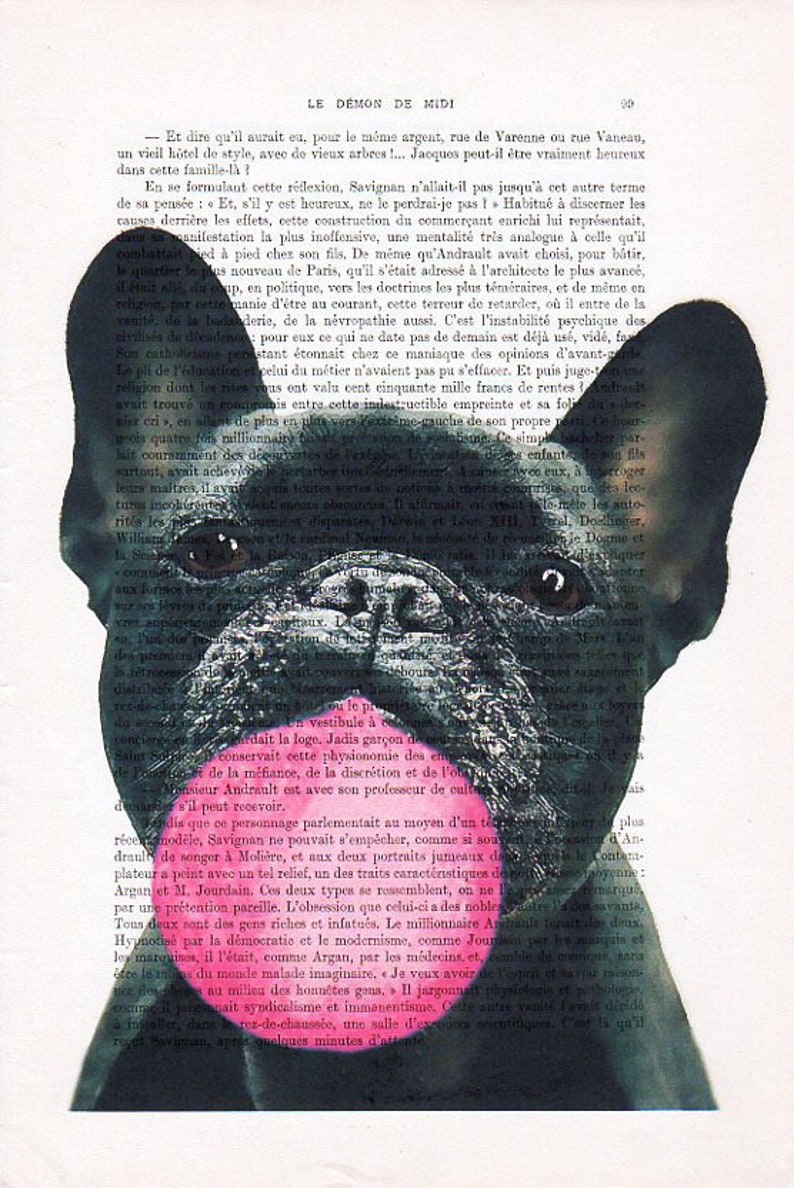 Frenchie Print, Bubblegum, French design, black and white,dog poster, Art Print on recycled french book page image 2