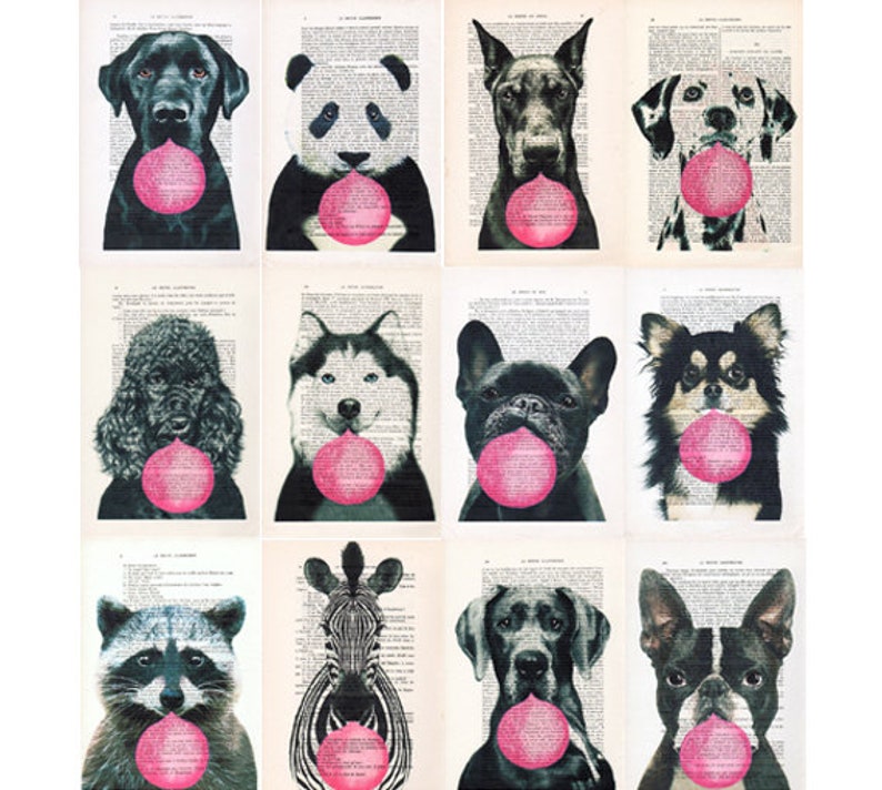 Frenchie Print, Bubblegum, French design, black and white,dog poster, Art Print on recycled french book page image 3