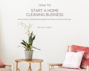 How to Start a Cleaning Business: Your Guide to Generating 2000 Dollars in 30 Days or Less