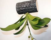 Designer Hanging Pots for All types of plants Handmade Flower Pot for Orchids Flowers Upside Down Slot for planting 2.7cm (1.1 quot )
