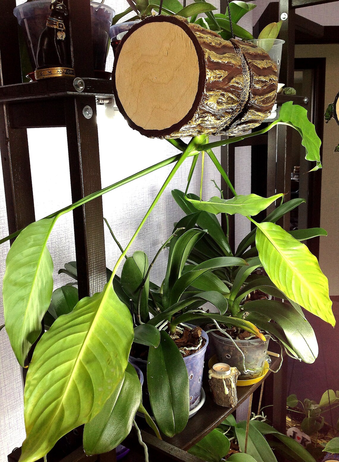 Designer Hanging Pots for All Types of Plants Handmade Flower Etsy