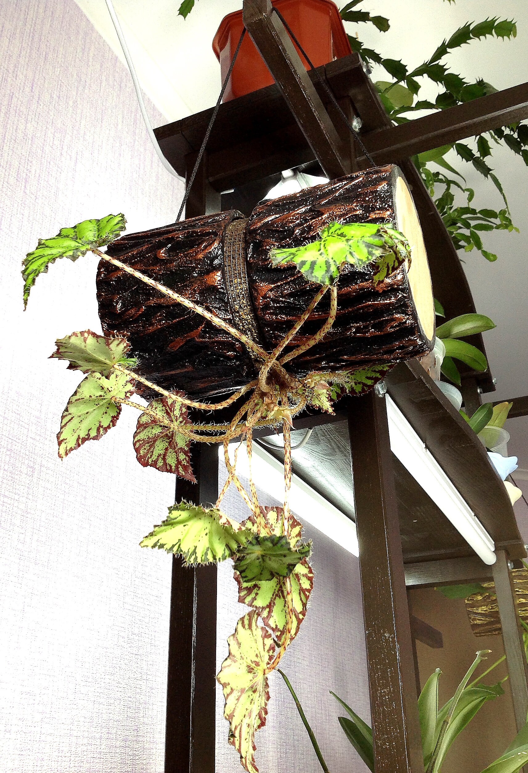 Designer Hanging Pots for All types of plants Handmade Flower Etsy