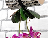 Designer Hanging Pots for All types of plants Handmade Flower Pot for Orchids Flowers Upside Down Slot for planting 2.7cm (1.1 quot )
