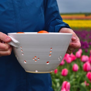 May include: A white ceramic colander with holes, held by a person's hands, filled with orange fruit. The colander has a handle on the side. The background is a field of pink tulips.