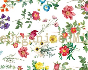 May include: A collection of watercolor floral illustrations in various colors, including red, yellow, purple, and pink, with green foliage. The text "theorganizedmics" is overlaid on the image. The flowers are arranged on a white background.