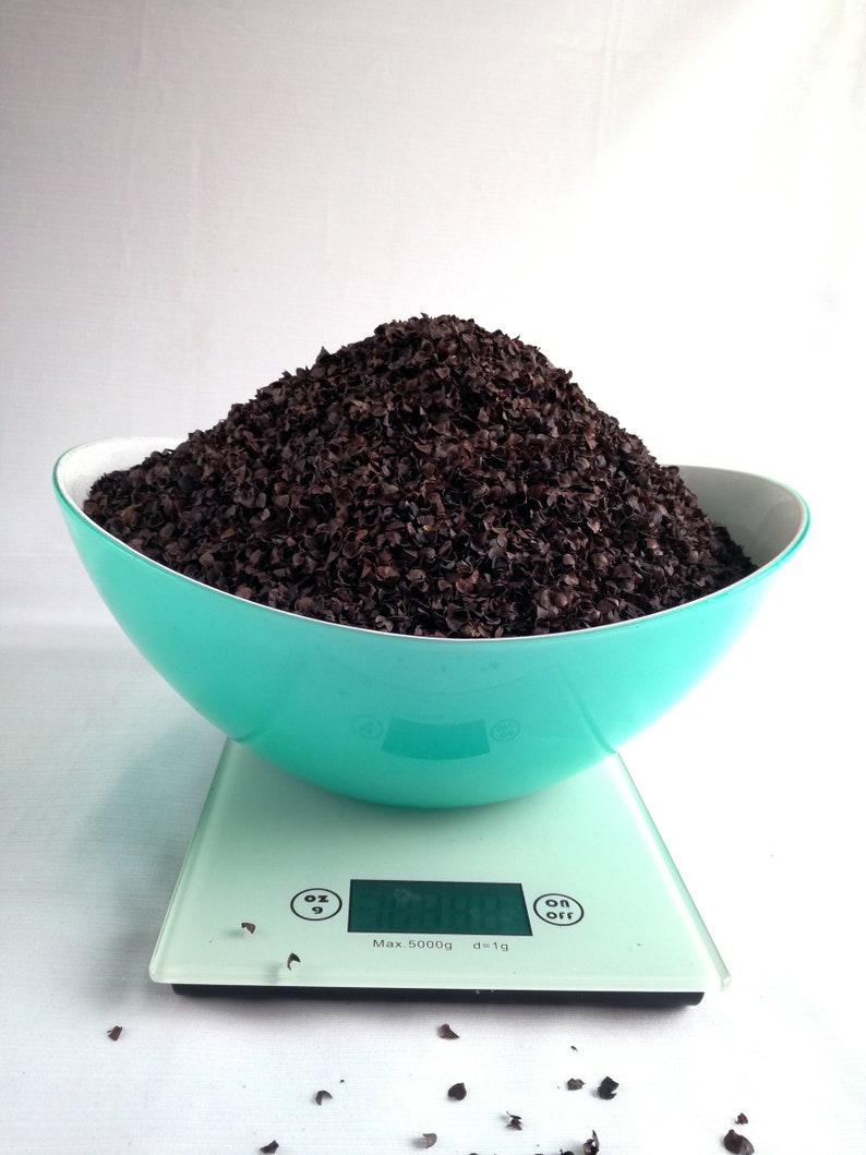 Buckwheat hulls Pillow insert Stuffing Buckwheat pillow Etsy