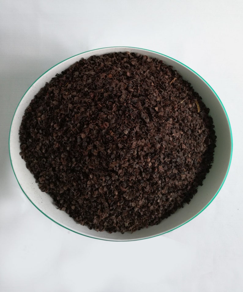 Buckwheat Hulls Pillow Insert Stuffing Buckwheat Pillow Etsy