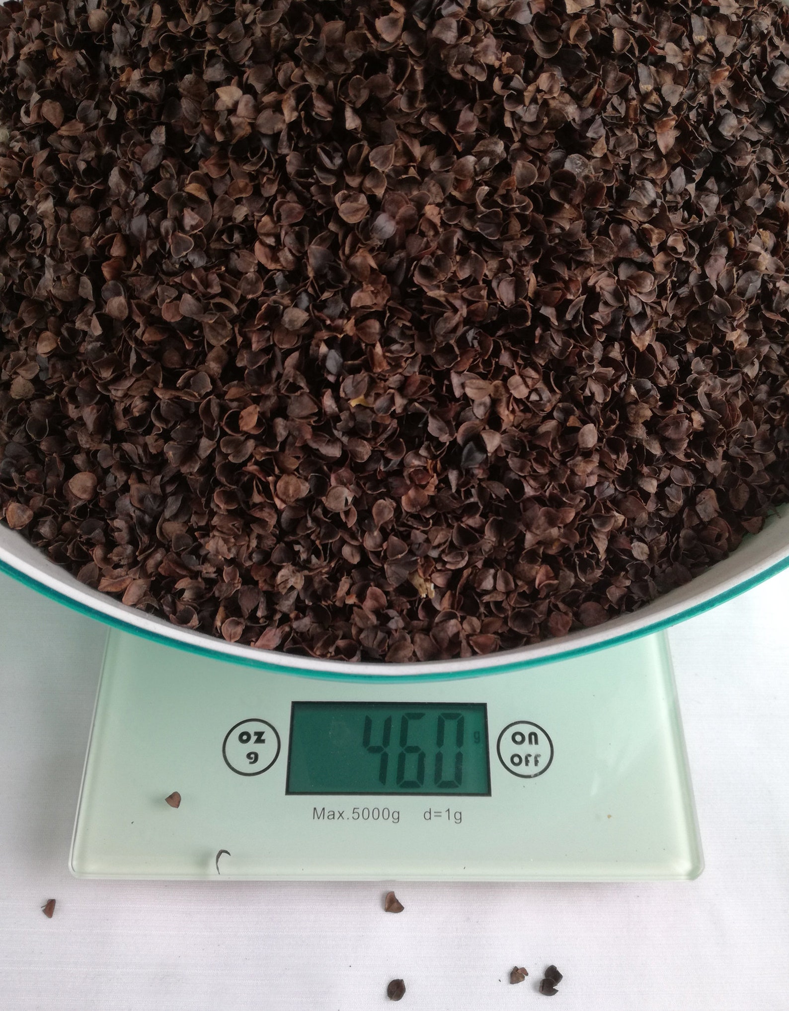 Buckwheat hulls Pillow insert Stuffing Buckwheat pillow Etsy