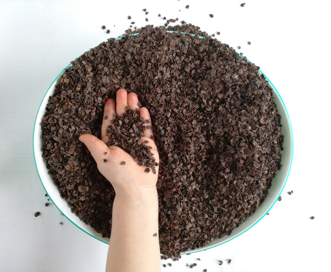 Buckwheat Hulls Pillow Insert Stuffing Buckwheat Pillow Etsy Australia