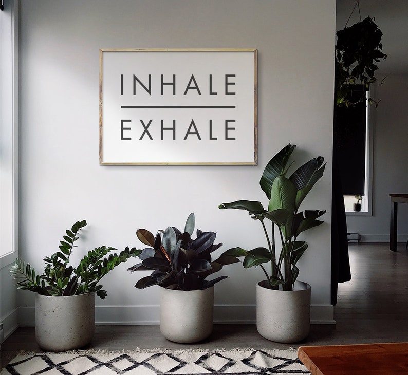 Op de afbeelding: Een wit ingelijst print met de tekst "INHALE EXHALE" in zwarte letters. Voor de print staan drie planten in potten, twee met donkergroene bladeren en &eacute;&eacute;n met lichtgroene bladeren. De planten staan in grijze potten en staan op een zwart-wit gepatroneerd tapijt.