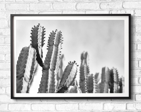 Euphorbia Cactus Photo Printable Wall Art, Succulents, Black & White, Landscape Photography Print, Digital, Desert Plants, Downloadable