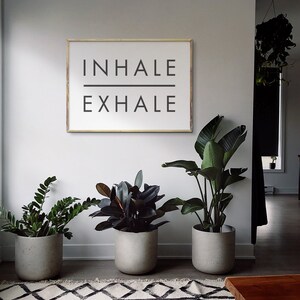 Op de afbeelding: Een wit ingelijst print met de tekst "INHALE EXHALE" in zwarte letters. Voor de print staan drie planten in potten, twee met donkergroene bladeren en &eacute;&eacute;n met lichtgroene bladeren. De planten staan in grijze potten en staan op een zwart-wit gepatroneerd tapijt.