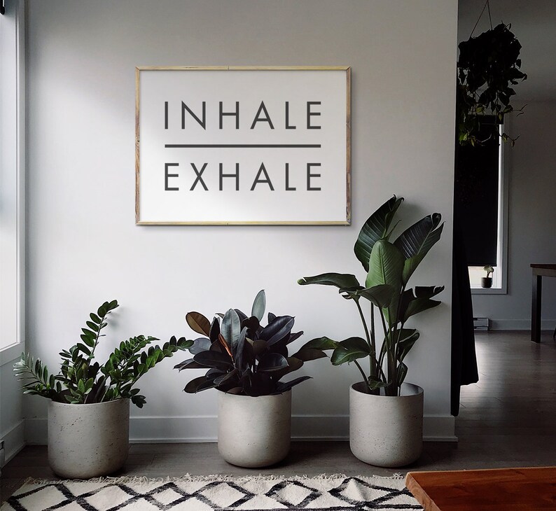 Op de afbeelding: Een wit ingelijst print met de tekst "INHALE EXHALE" in zwarte letters. Voor de print staan drie planten in potten, twee met donkergroene bladeren en &eacute;&eacute;n met lichtgroene bladeren. De planten staan in grijze potten en staan op een zwart-wit gepatroneerd tapijt.