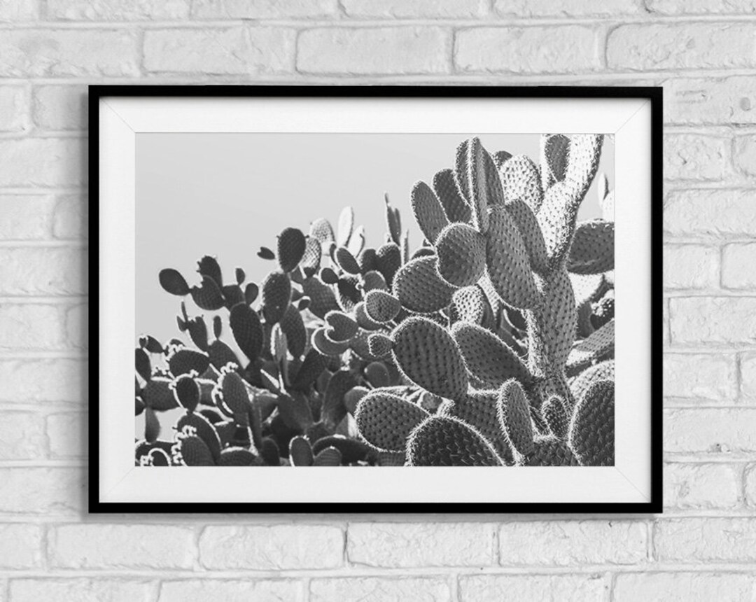 Prickly Pear Cactus Printable Wall Art, Photography Print, Black ...