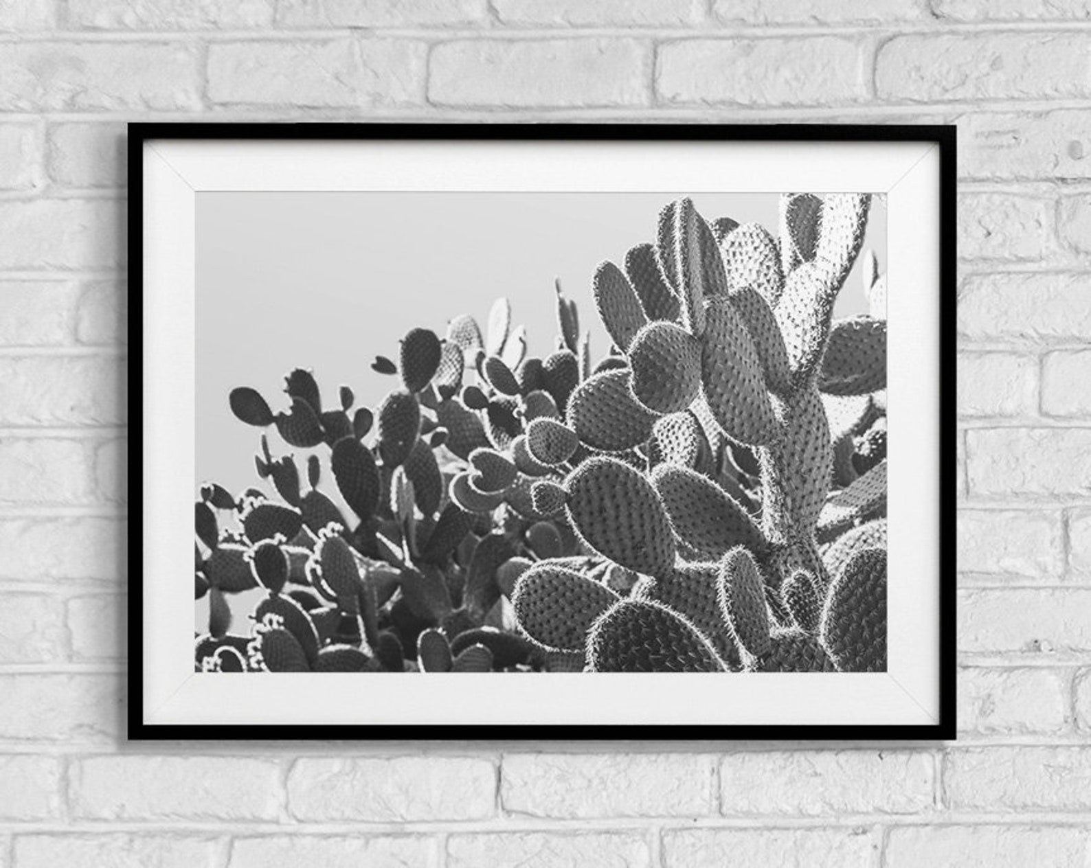 Prickly Pear Cactus Printable Wall Art Photography Print | Etsy