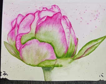 Hand Painted Watercolor Peony Card