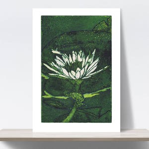 Botanic art, Hummingbird, Waterlily, Frog, Bird, lake. Etching, aqua forte, printmaking. Art print A4. 21x30 cm, Fine art quality paper