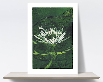 Botanic art, Hummingbird, Waterlily, Frog, Bird, lake. Etching, aqua forte, printmaking. Art print A4. 21x30 cm, Fine art quality paper