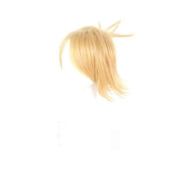 denki wig
