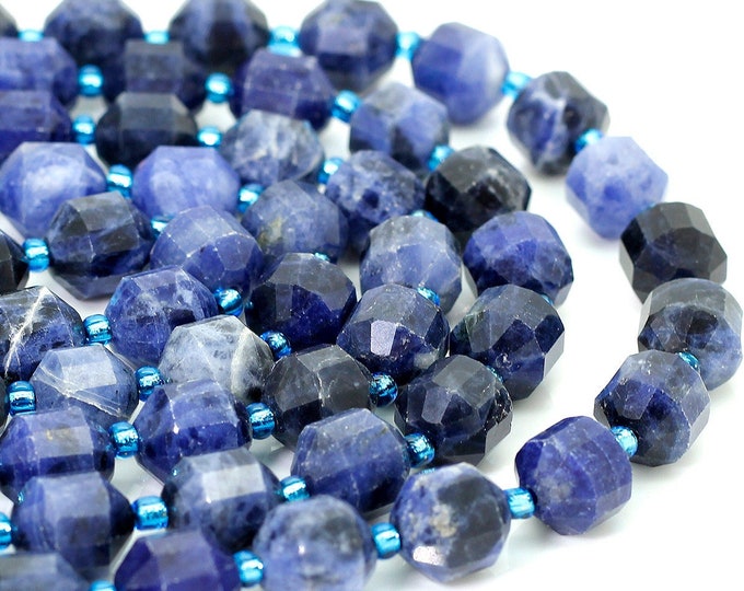 Sodalite Beads, Natural Blue Sodalite Faceted Round Double Terminated Points Energy Prism Cut Gemstone Beads - PGS322