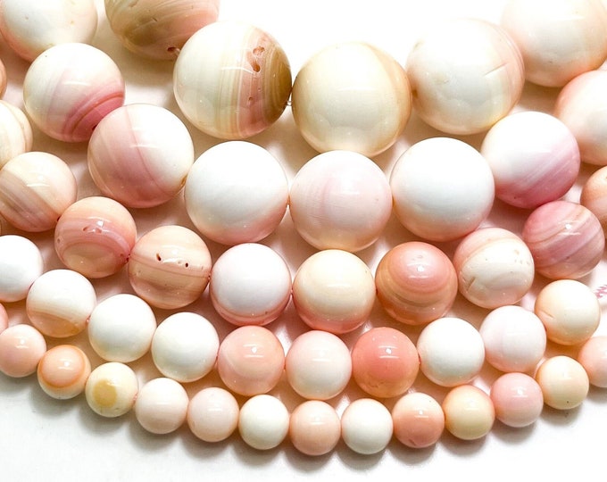 AAA Queen Conch, Natural Pink Queen Conch Shell Smooth Round Ball Sphere Gemstone Beads - RN114