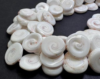 Genuine Queen Conch Shell Beads • 16mm Natural Spiral Coin • Shiva Eye Light Pink & White Shell Gemstone for Artisan Jewelry Supply - QC25