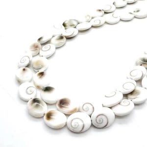 Genuine Natural Shiva Eye Pacific Cat's Eye Spiral Shell Oval Beads 12x10mm Polished White Bead for Protective Spiritual Jewelry - PG291