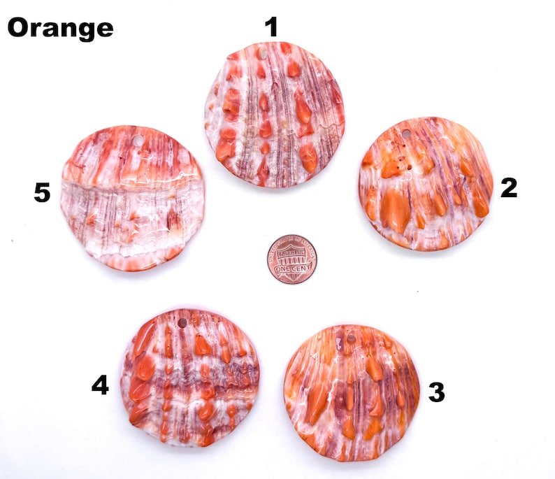May include: Five orange and white shell pendants with a hole drilled at the top. The shells have a natural, textured appearance with orange and white patterns. The word "Orange" is printed at the top left.