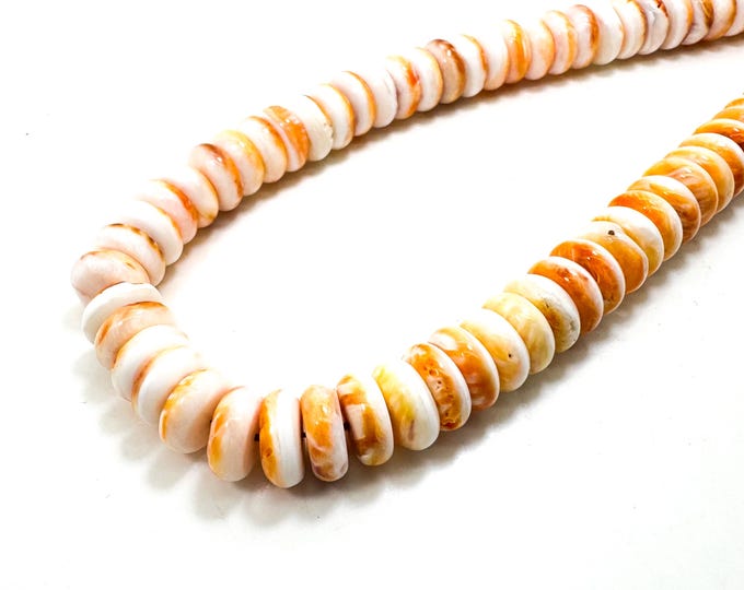 AAA Natural White Orange Spiny Oyster Rondelle Disc Polished 10mm 12mm Assorted Size Beads - PG264B