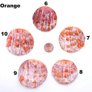 May include: Five orange and white shell-shaped pendants with a hole at the top for stringing. The pendants have a textured surface with orange and white coloration. The word "Orange" is at the top left of the image. A penny is in the center.