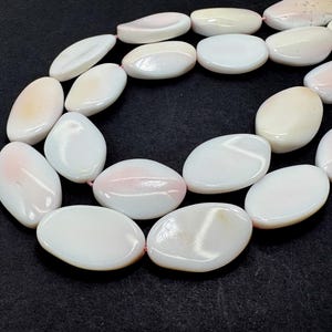 AA Queen Conch Shell, Natural Queen Conch Shell Flat Rough Oval Assorted Size Smooth Gemstone Beads - PGS199