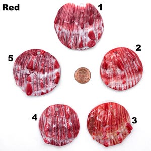 May include: Five red and white shell pendants with a hole for stringing. The pendants are round and have a textured surface. A penny is included for size comparison. The word "Red" is in the upper left corner.