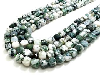 Natural Green Tree Agate B Faceted Square Cube 7mm Gemstone Beads - PGS121