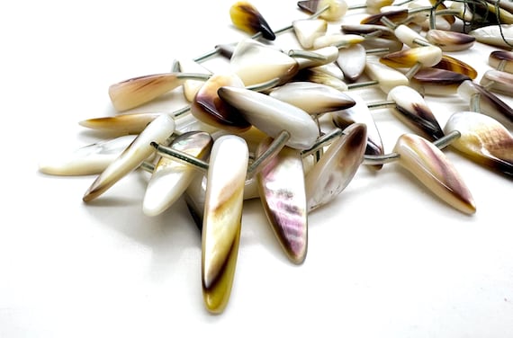 Natural Mother of Pearl Spike Beads Genuine 20-31mm Graduated MOP Tooth Smoky Grey & Iridescent White Shell - PG324