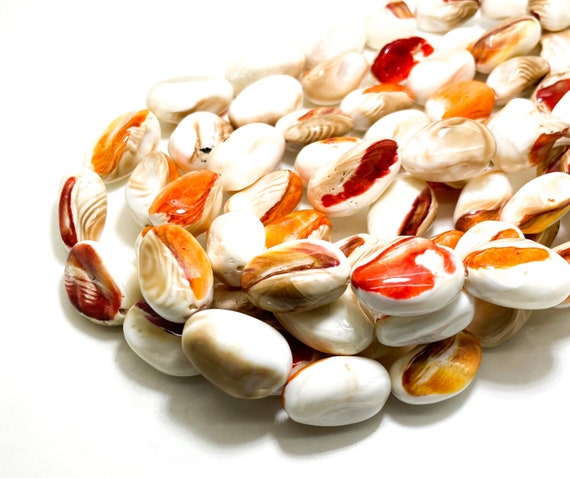 Genuine Native America Spiny Oyster Purple Orange Shell Large Nugget Polished Beads - PG223