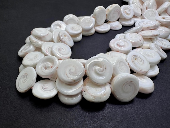 Genuine Queen Conch Shell Beads • 16mm Natural Spiral Coin • Shiva Eye Light Pink & White Shell Gemstone for Artisan Jewelry Supply - QC25