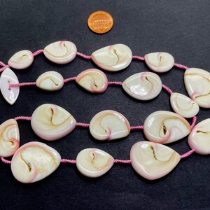 Puede incluir: Un collar de conchas rosa y blanco con un cord&oacute;n rosa. Las conchas tienen forma de l&aacute;grima y tienen un patr&oacute;n de espiral.